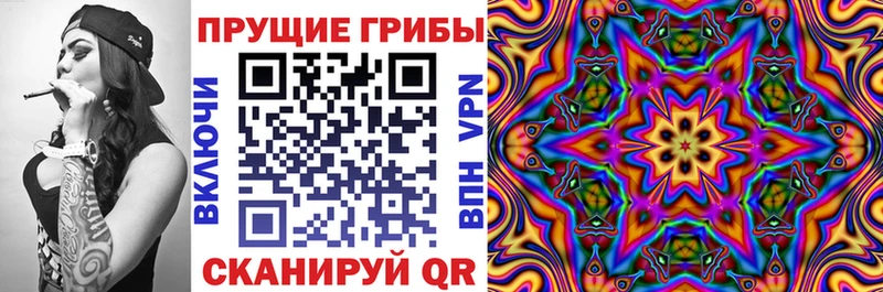 Галлюциногенные грибы Magic Shrooms  Щёлкино 